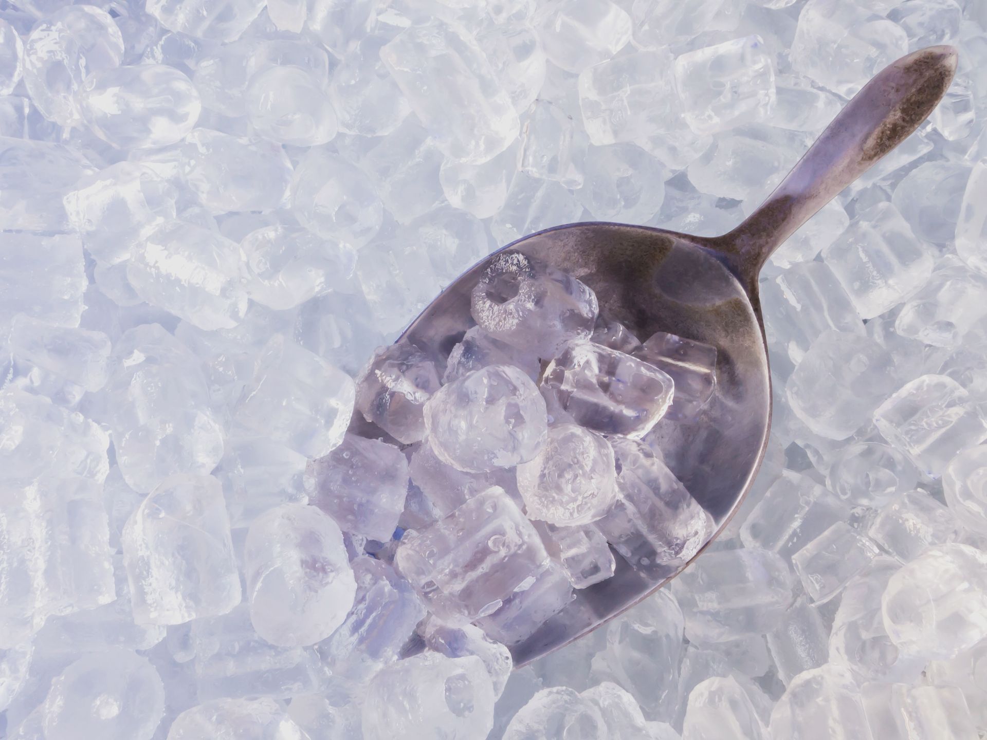ice supplier