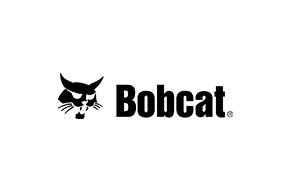 Bobcat