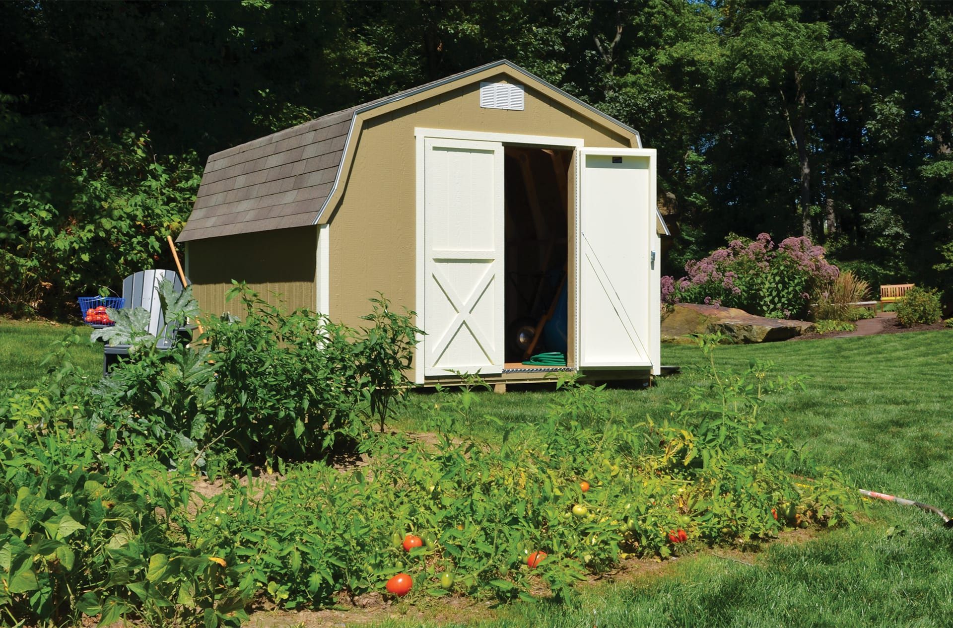 A barn with the doors open is surrounded by tomato plants.