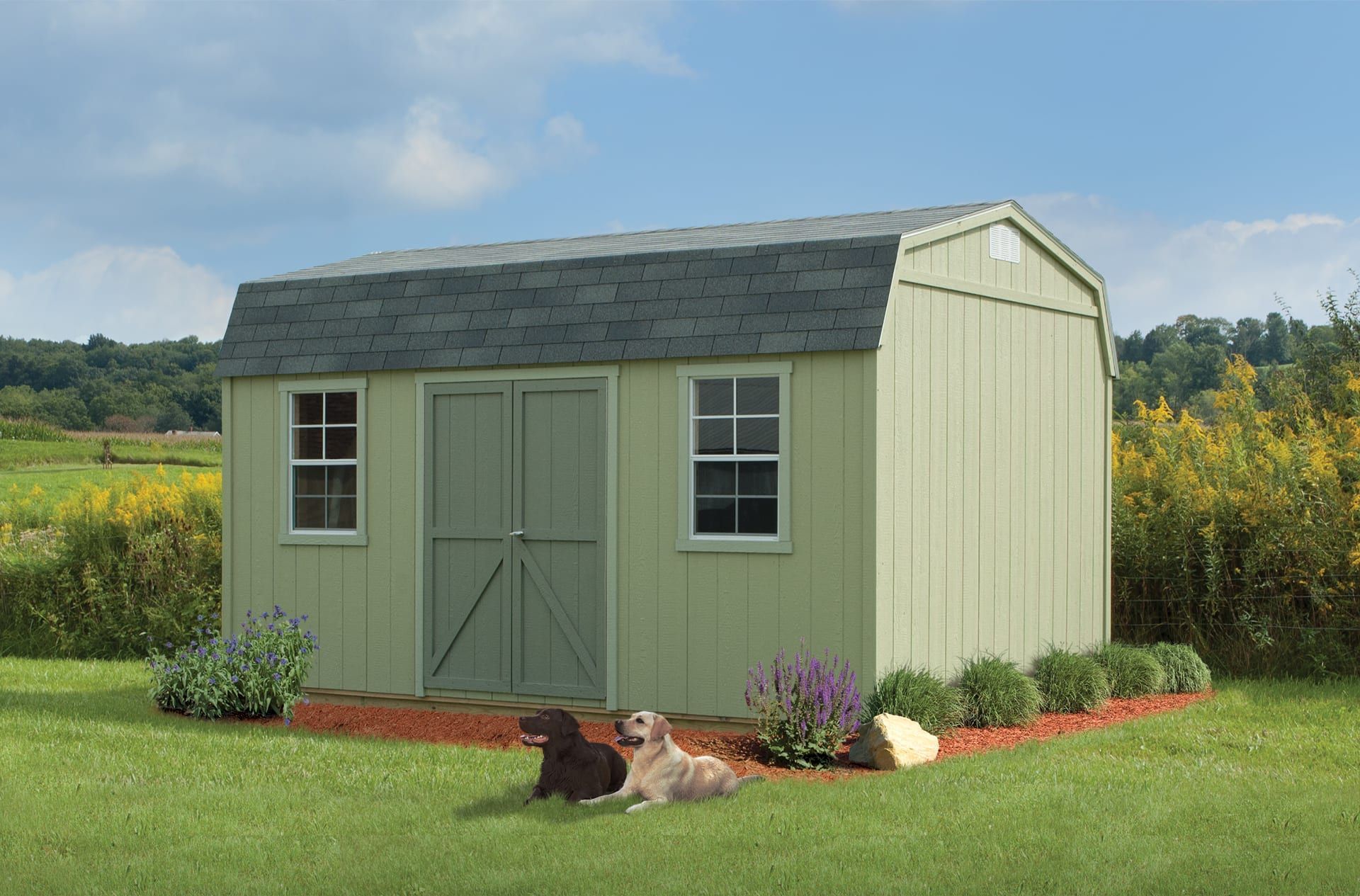 Two dogs are laying in front of a green shed.