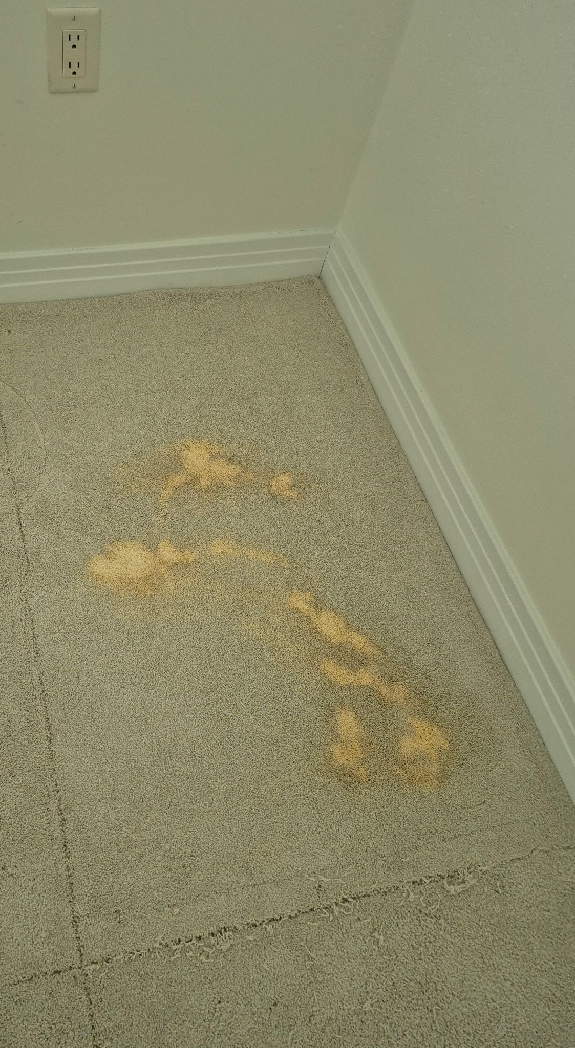 Before carpet repair
