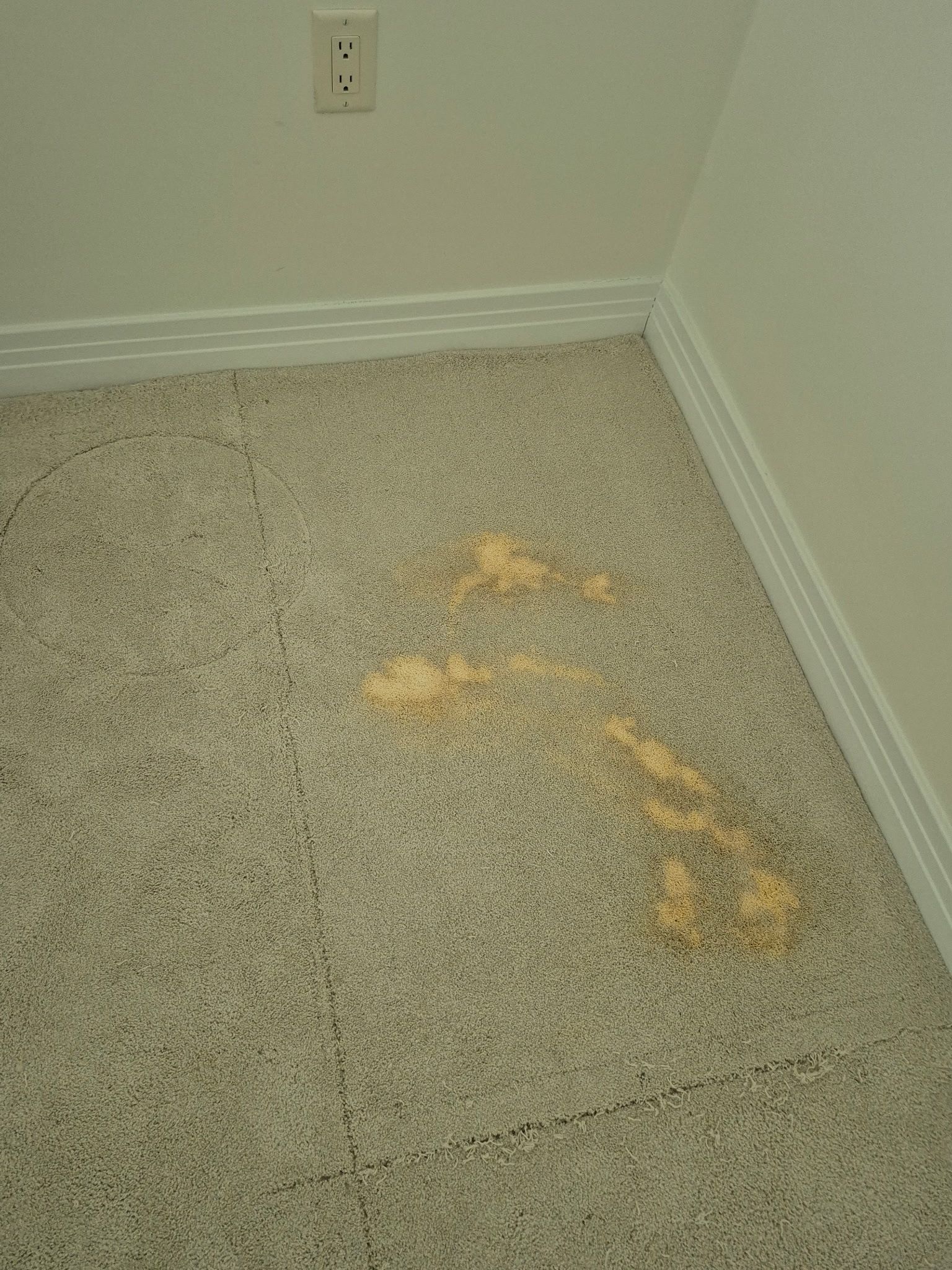 Carpeted room corner with yellow-orange spill or stain on the floor near the wall.
