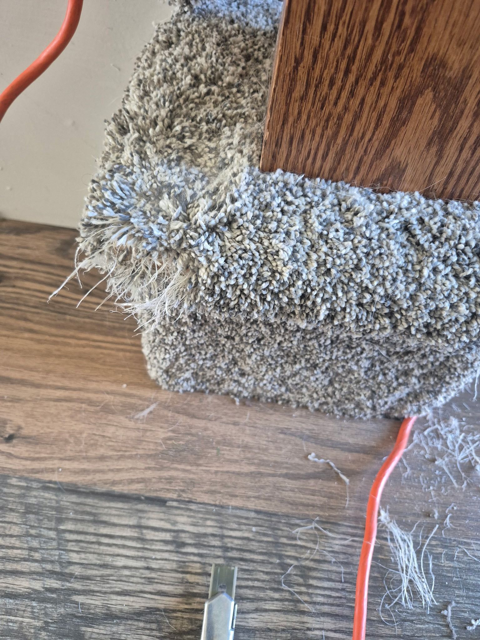 Carpet edge meets wood trim and flooring. Orange wire and utility knife visible.