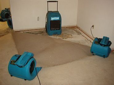Three blue dryers are sitting on a carpeted floor in a room.