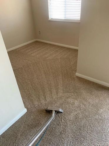 A vacuum cleaner is sitting on a carpeted floor in a room.