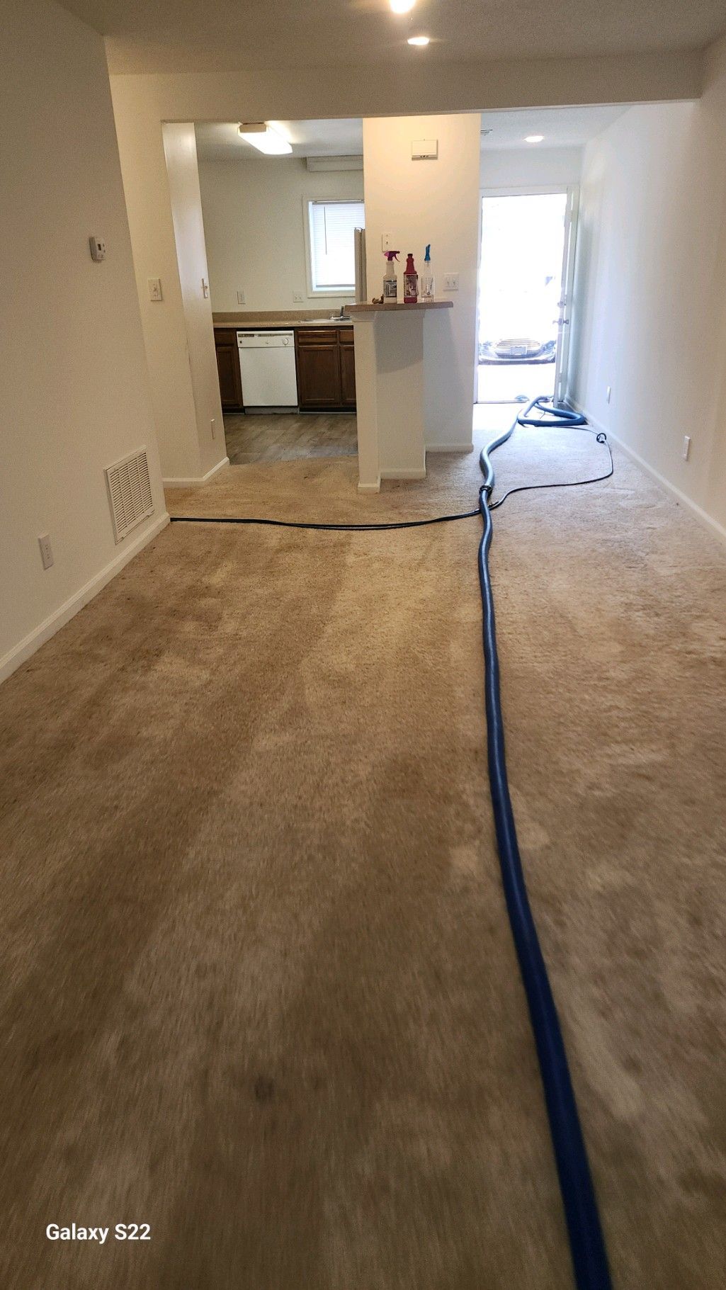 A living room with a carpeted floor and a blue hose.