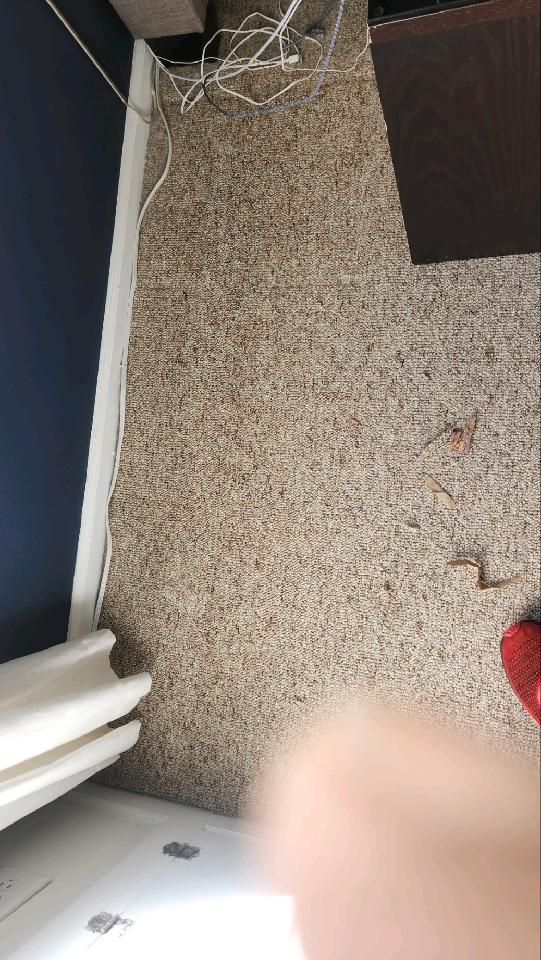 A person is standing on a carpeted floor in a room.