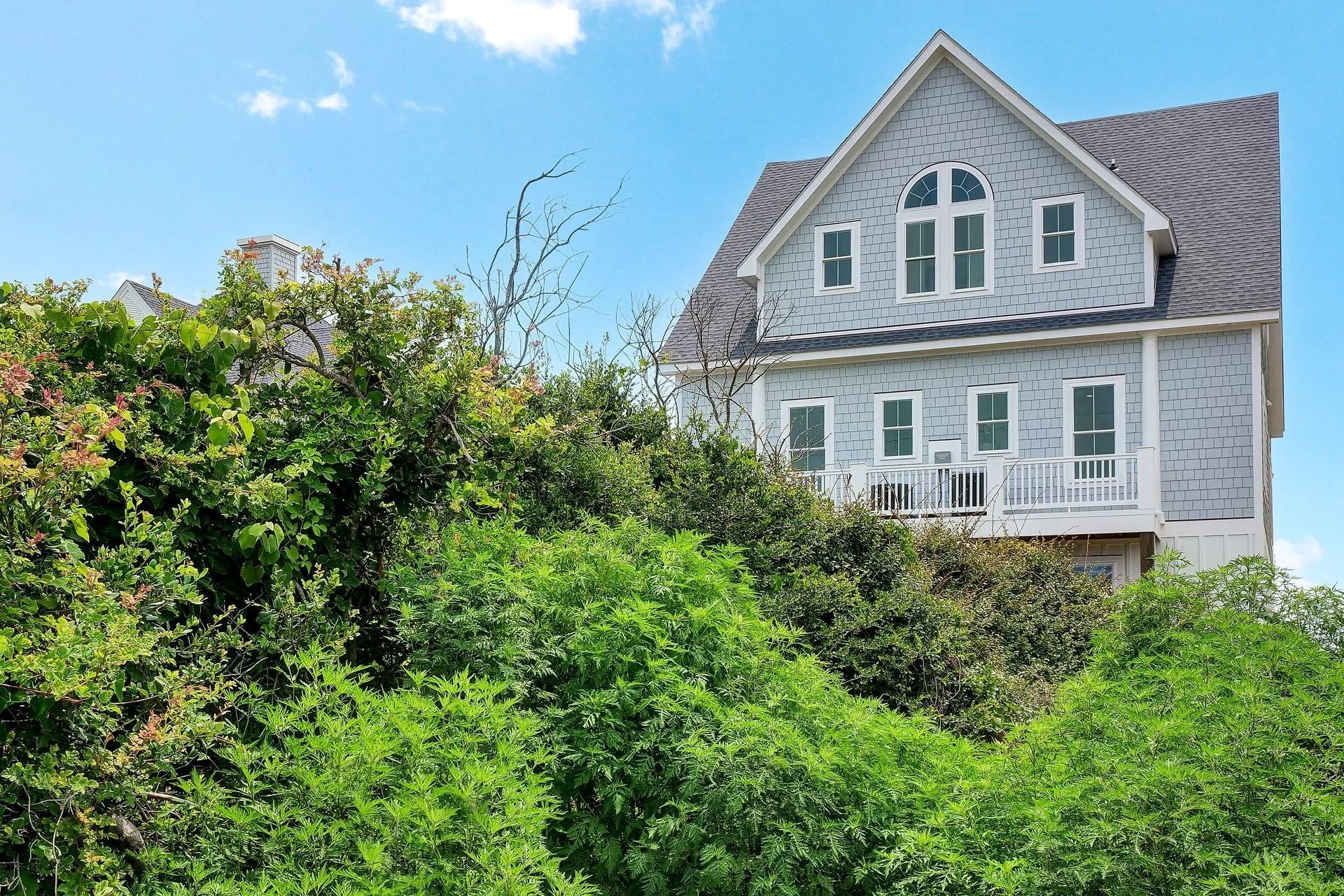 House with light blue siding, white trim, and gray roof, behind lush green bushes against a blue sky.