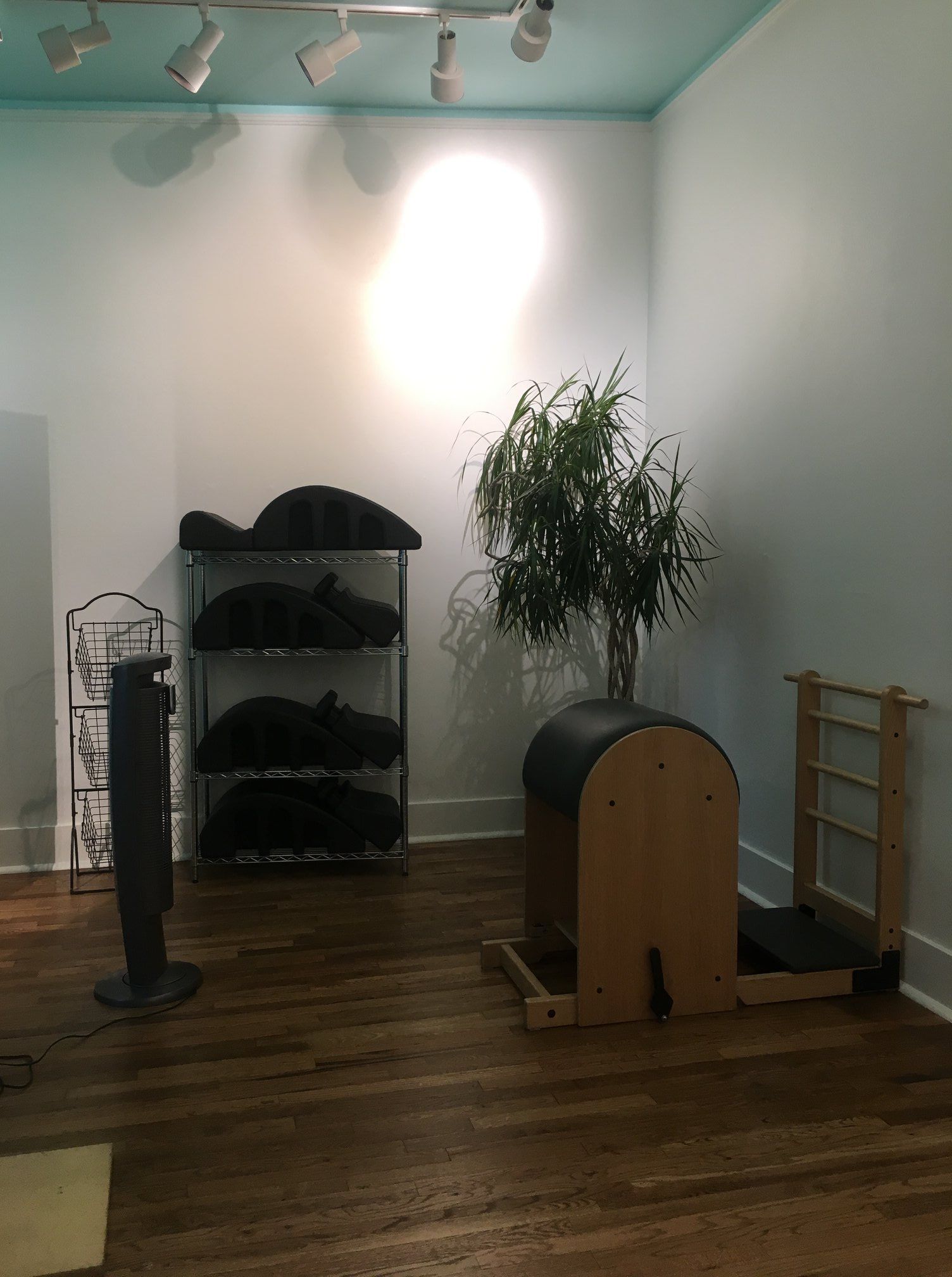 A room with a pilates machine and a plant