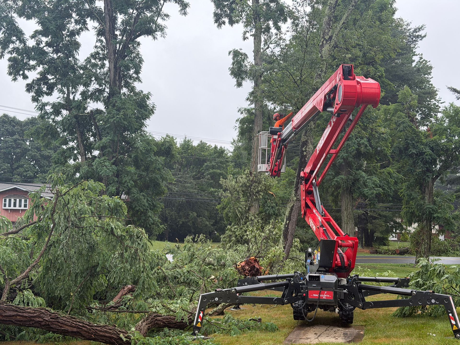 Red crane clearing a fallen tree in a storm-damaged yard with scattered branches and cloudy sky