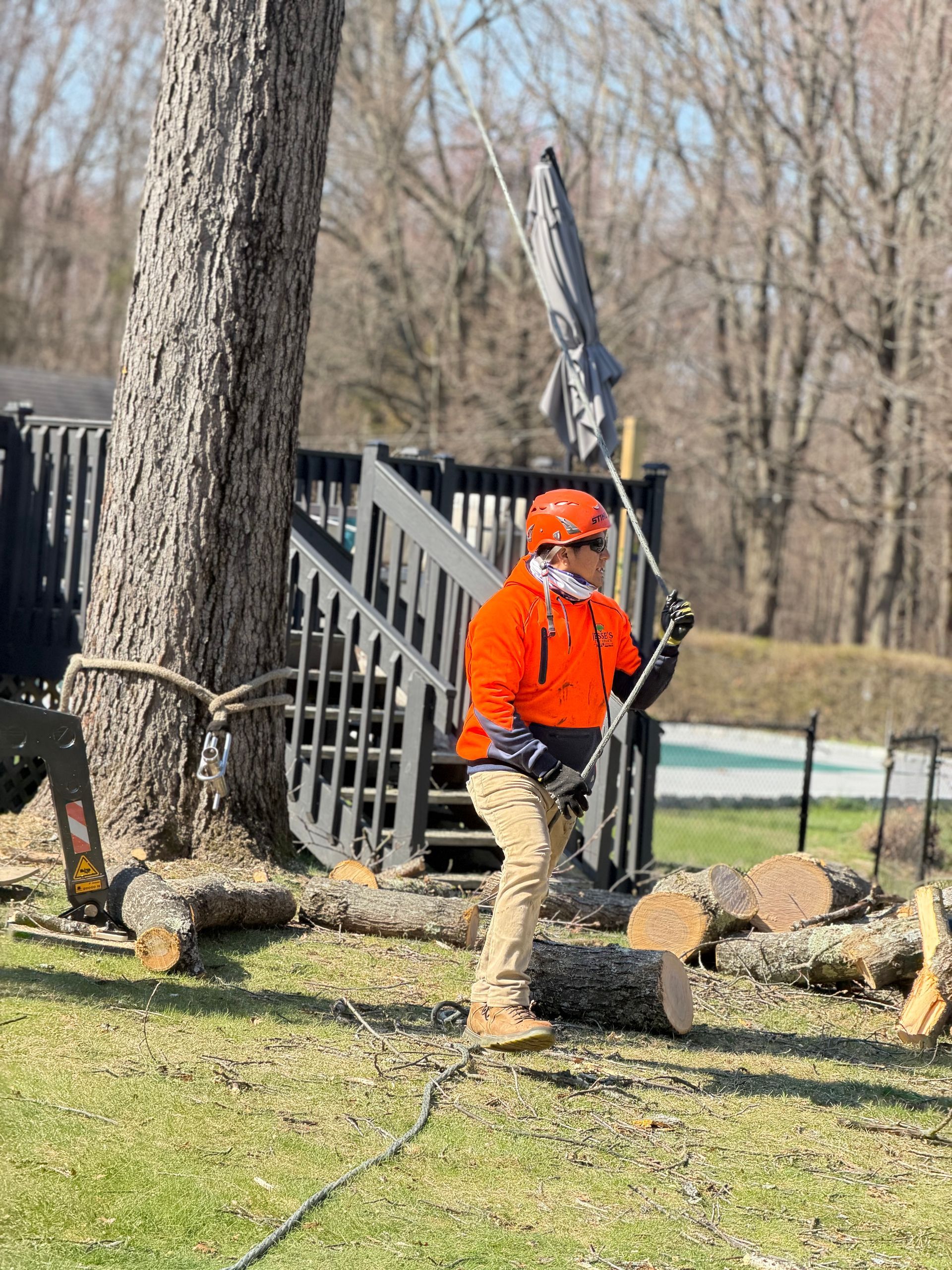 Worker in orange safety gear holding a long pole beside a large tree and fallen logs outdoors
