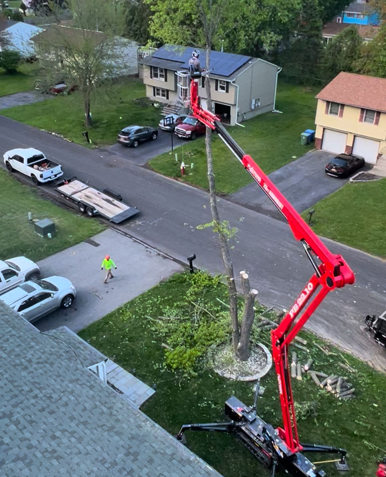 Jesse's Tree Service