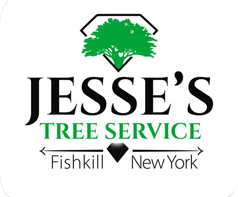 Jesse's Tree Service- logo