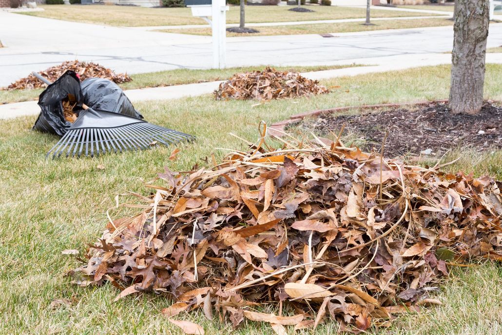 Groundskeeper blowing leaves on a sidewalk, next to a grassy area and building.
