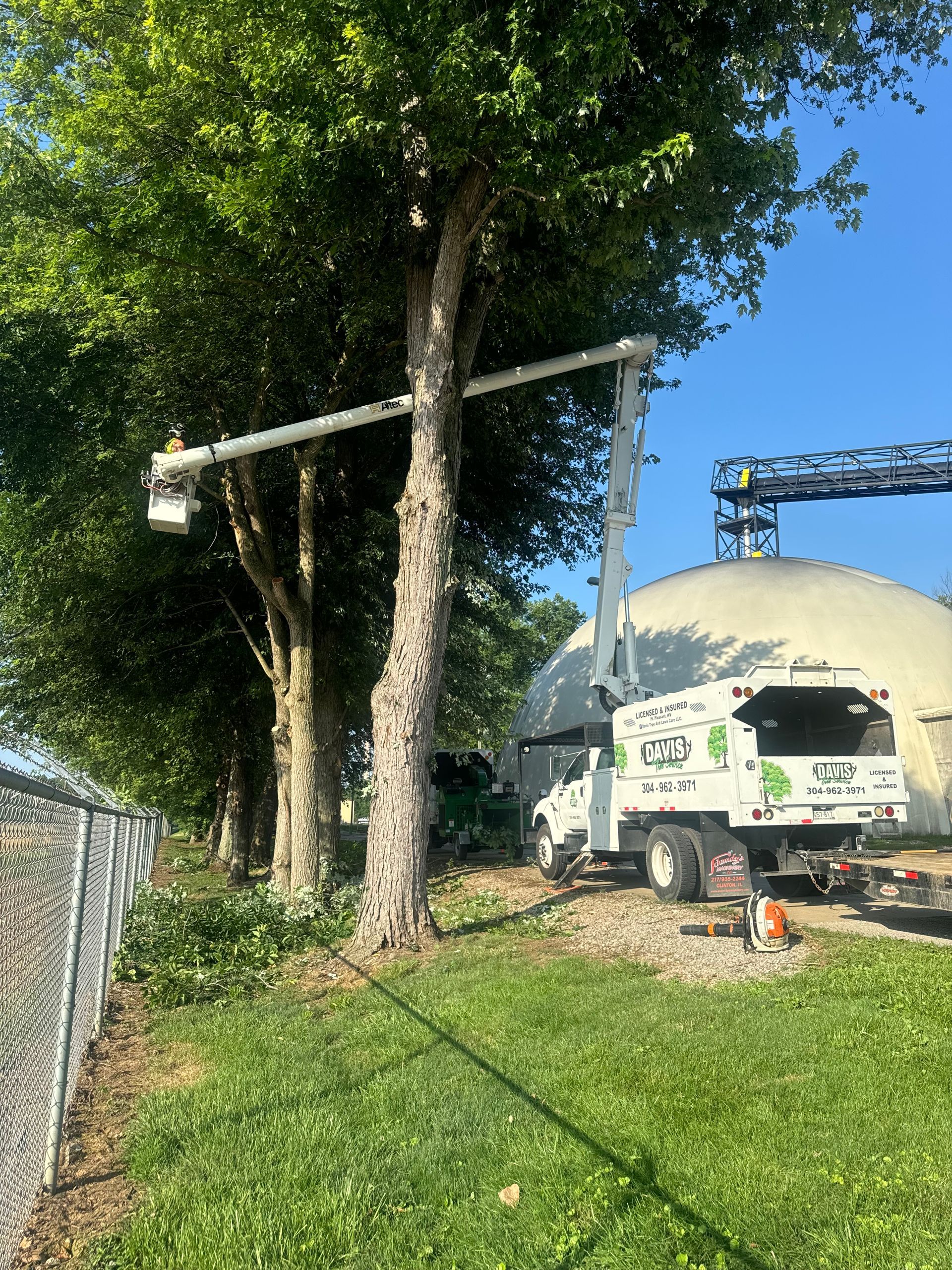 A tree trimming truck is cutting a tree next to a chain link fence.