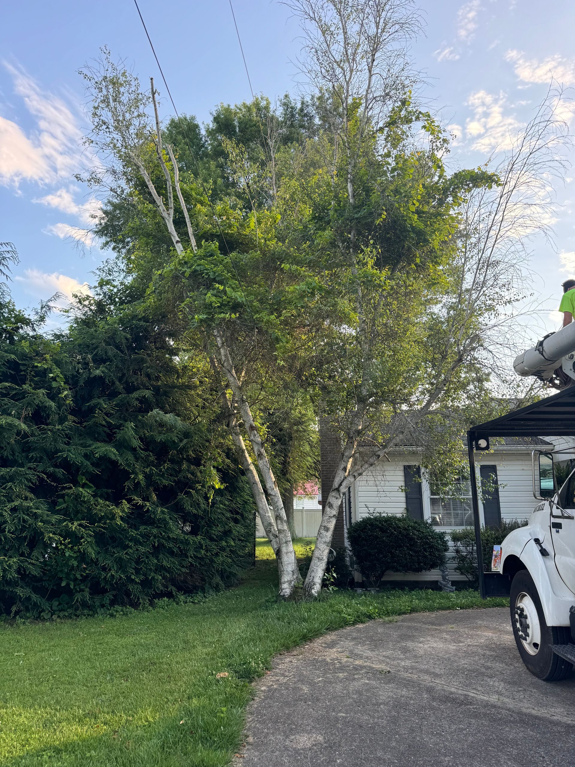 A white truck is parked in front of a house next to a tree.