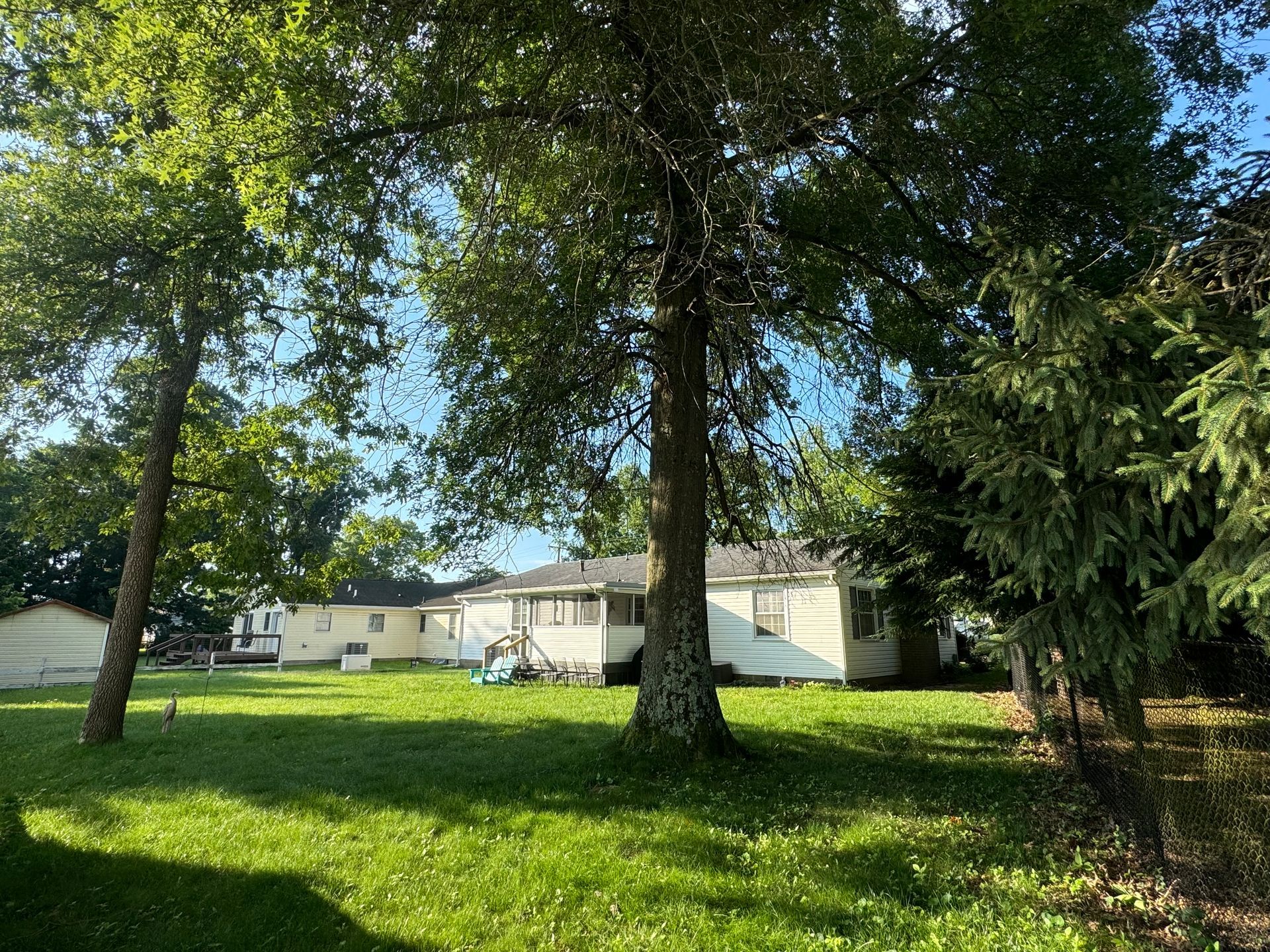 A house is sitting in the middle of a lush green field surrounded by trees.
