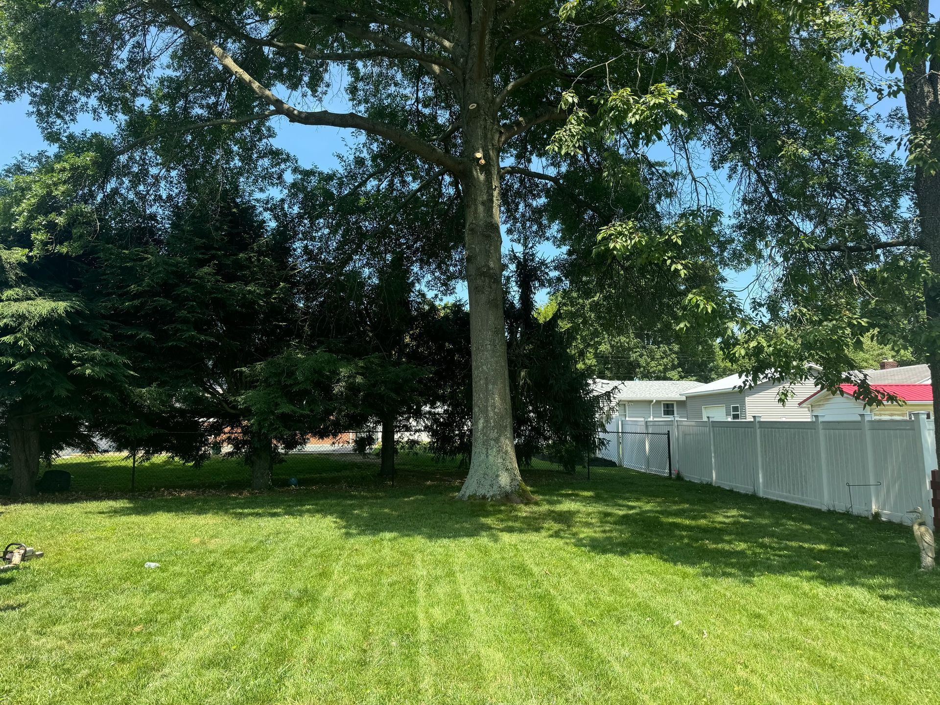 A lush green yard with trees and a white fence.