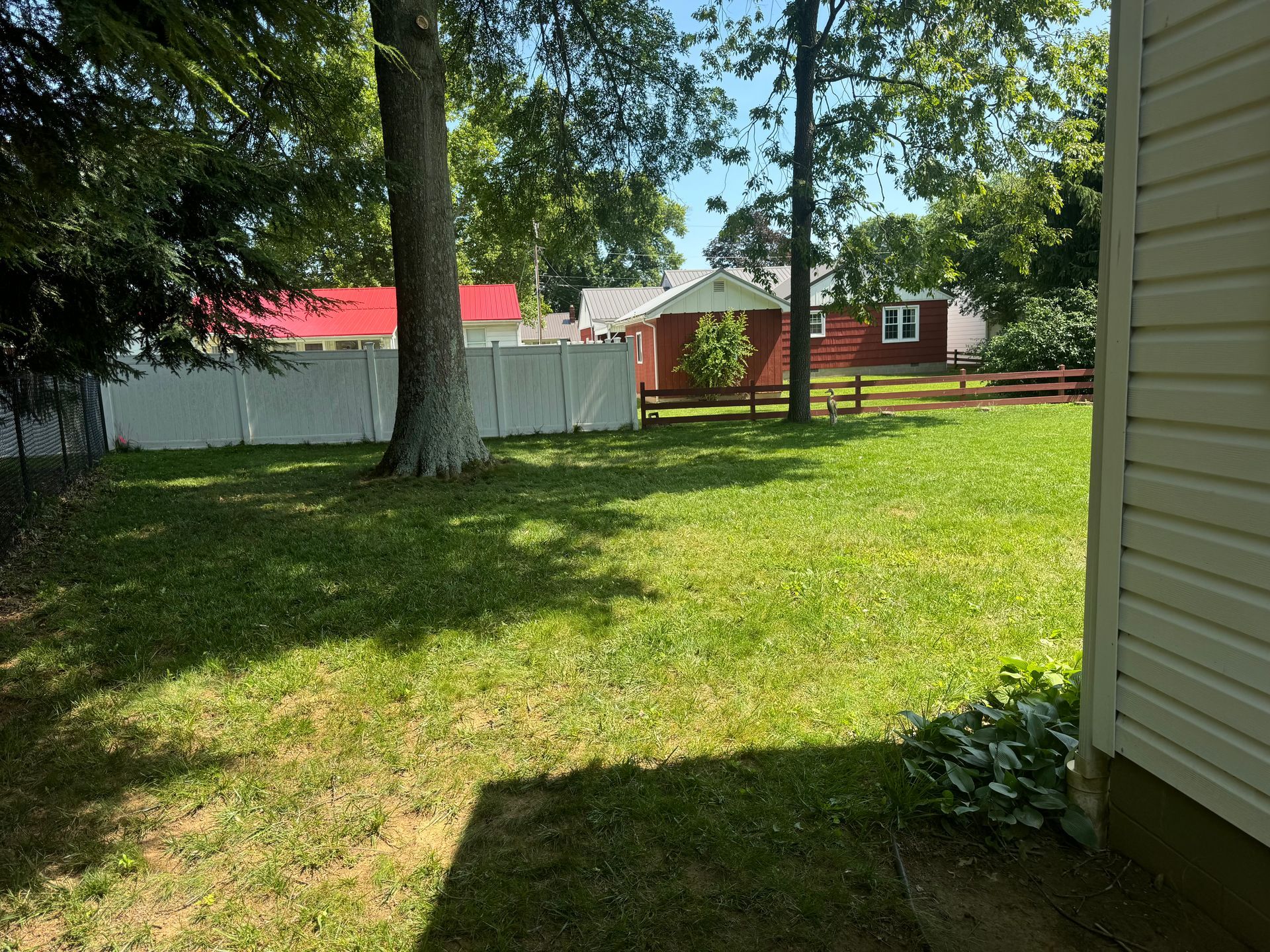 A backyard with a white fence and trees and a house in the background.