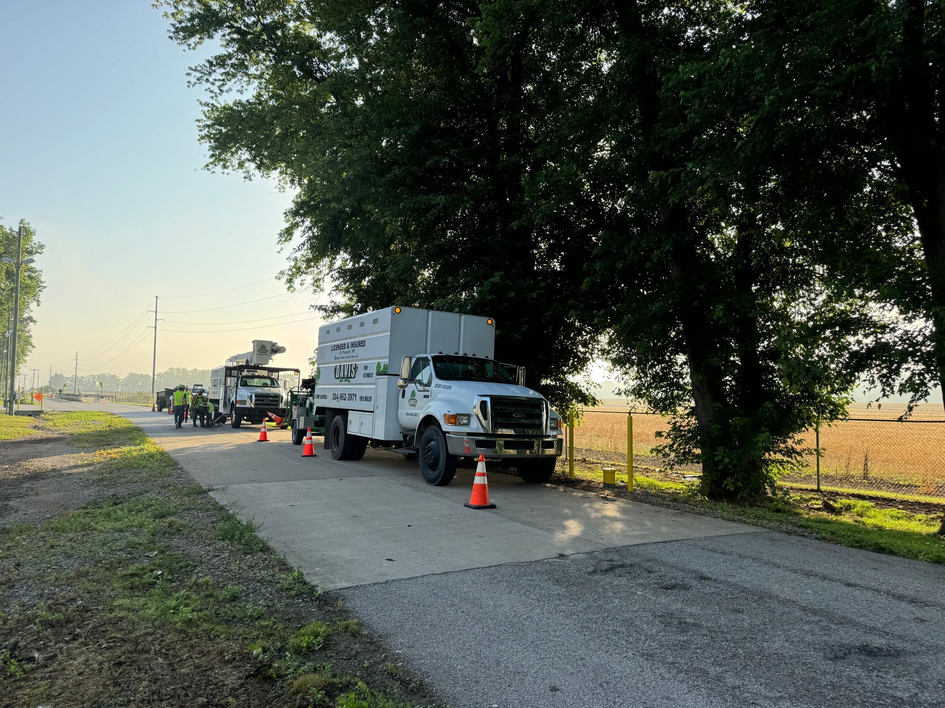 A white truck is parked on the side of the road next to a tree.