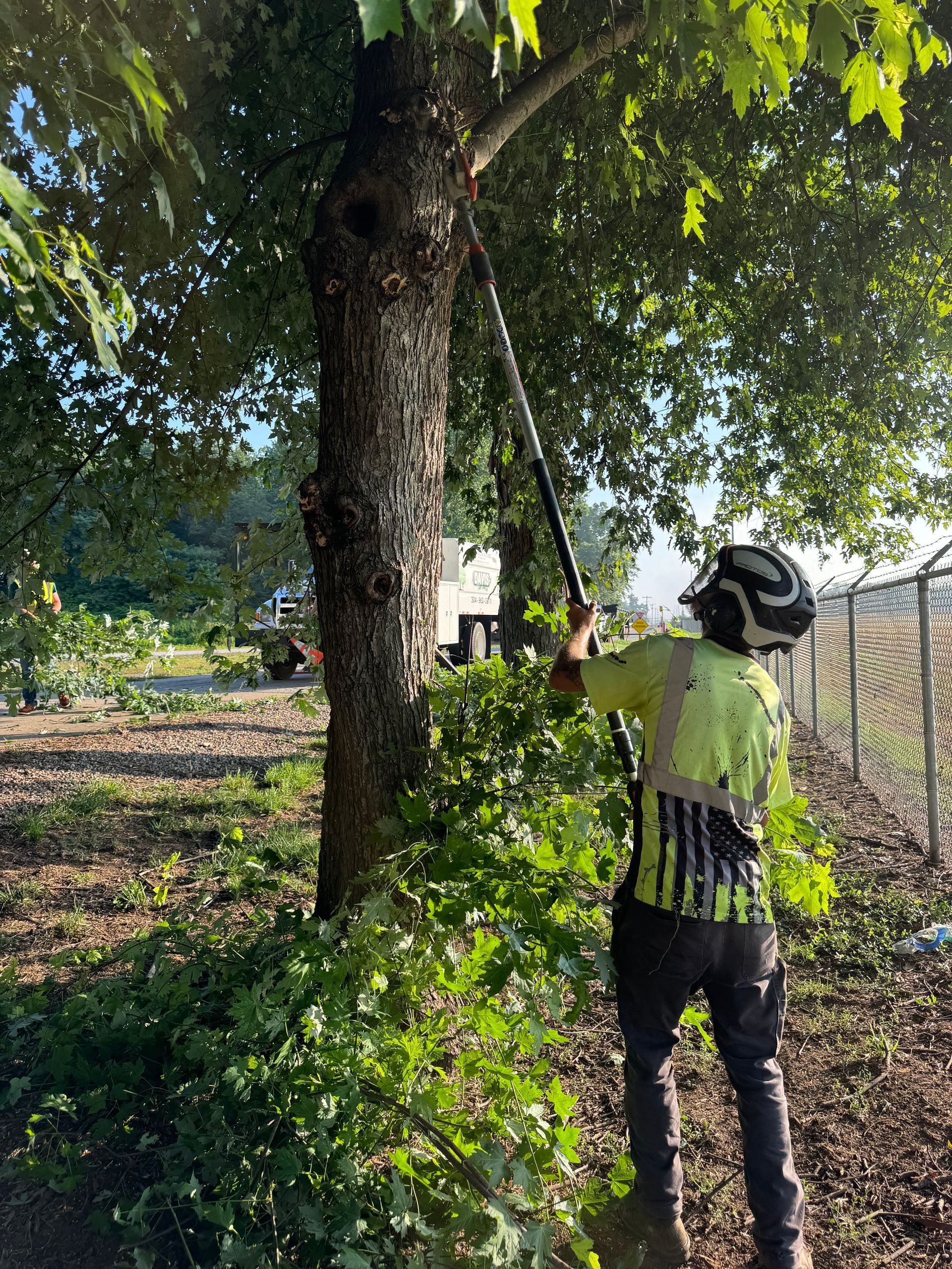 A man is cutting a tree with a chainsaw.