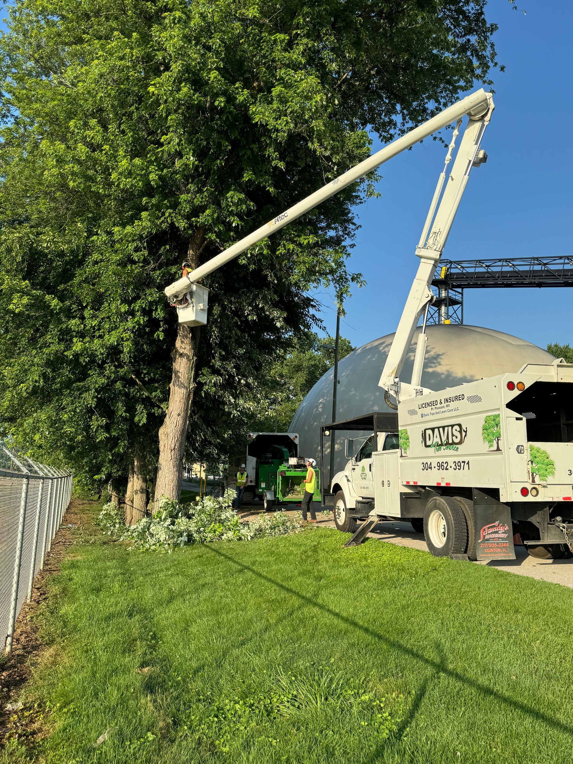A tree cutting truck is cutting a tree in a yard.