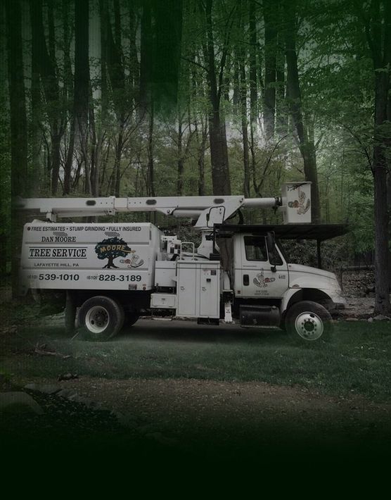 Dan Moore Tree Service  truck