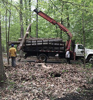 Logging service