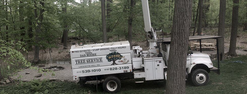 Dan Moore Tree Service truck