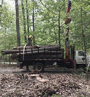 Logging service