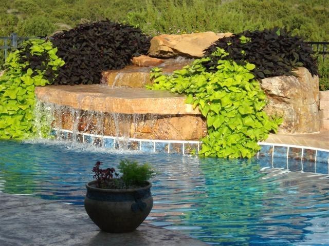 Pool with rock waterfall, cascading water, and colorful plants.