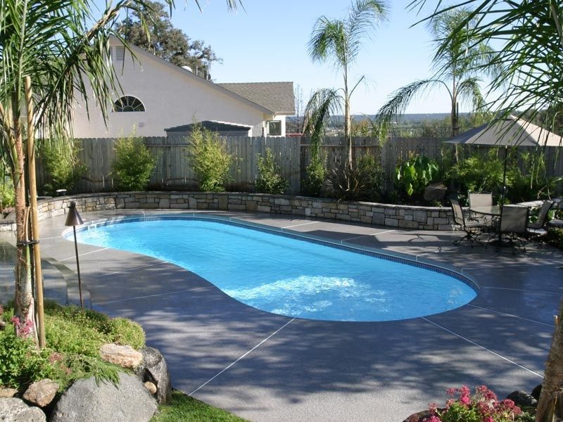 Pool in a backyard with stone wall and palm trees, concrete patio, and a house in the background.