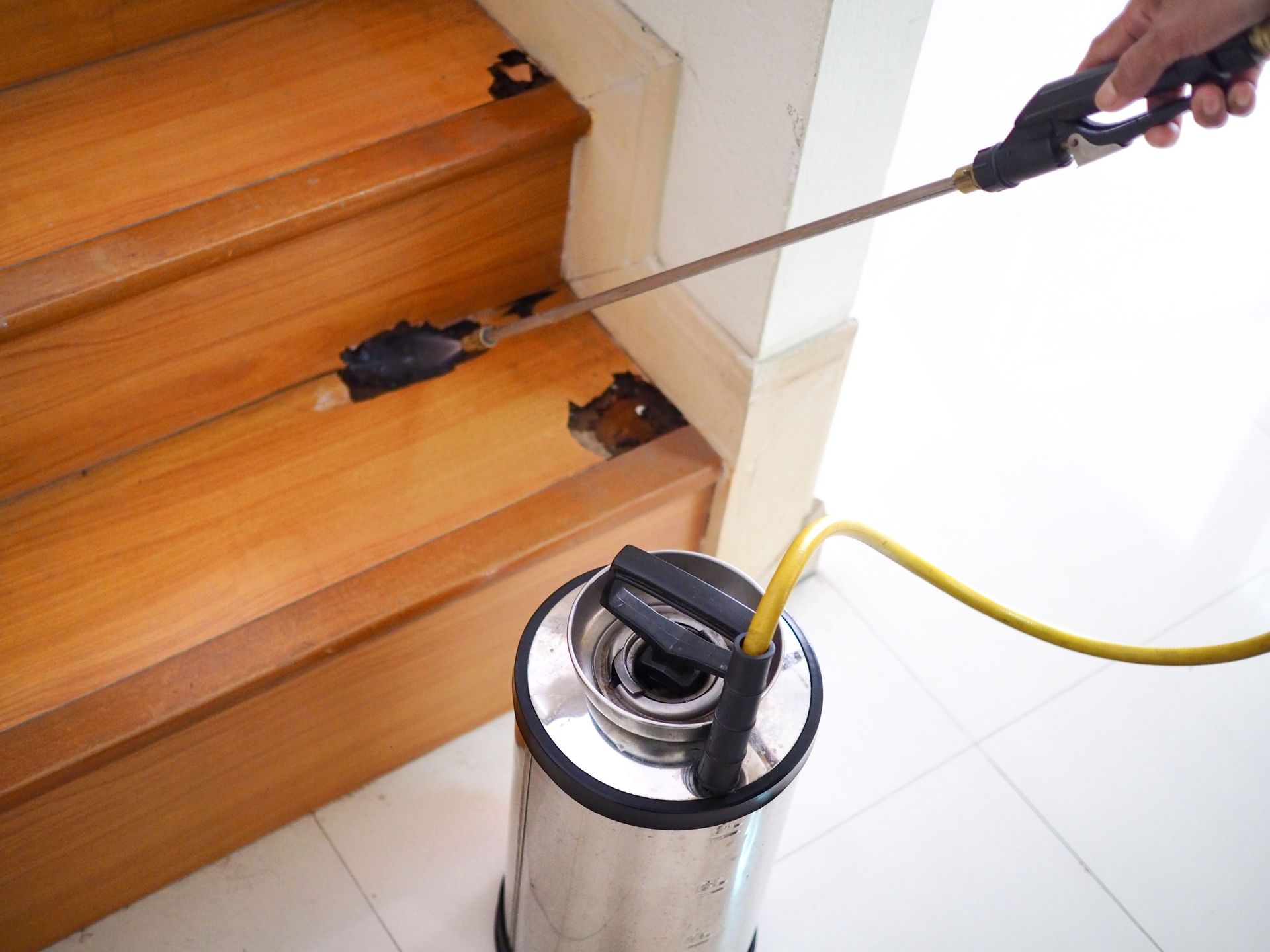 pest management services