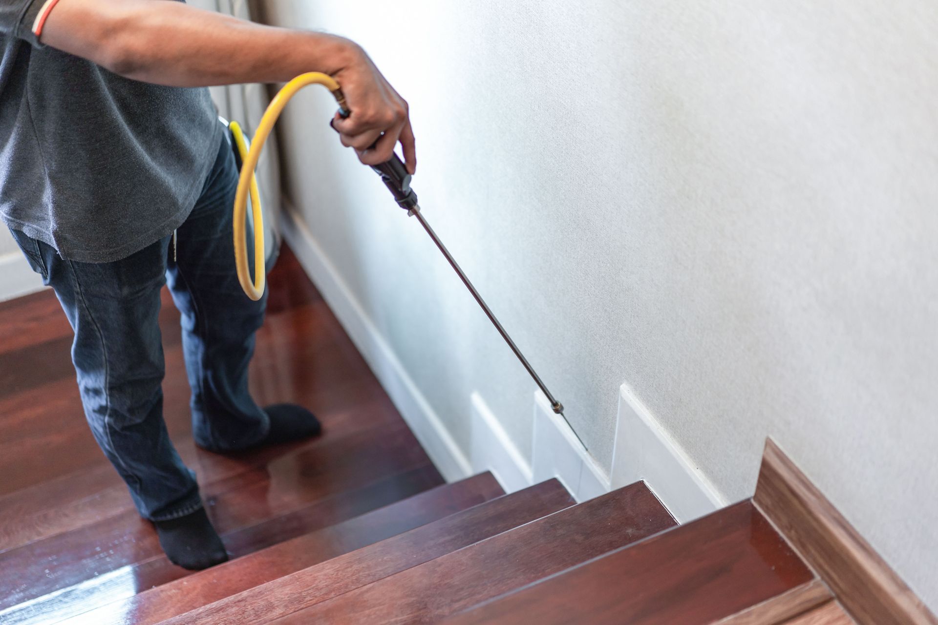 cockroach exterminator
