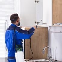 A pest control professional in a blue uniform spraying inside an open kitchen cabinet.