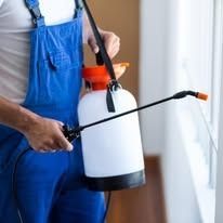 A person in blue coveralls holds a handheld pump sprayer, preparing to treat a wall near a window.