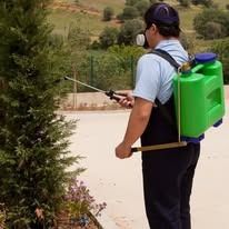 A person wearing a face mask and a green backpack sprayer treats a small tree in an outdoor area.