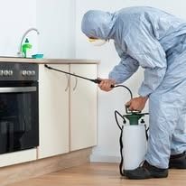 A person in protective gear uses a pump sprayer to apply pest control treatment to kitchen cabinets.