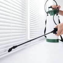 A person uses a handheld pressurized spray canister to apply cleaning solution or pesticide to white window blinds.