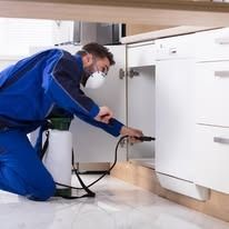 A technician in a blue uniform and face mask sprays pest control liquid inside an open kitchen cabinet.