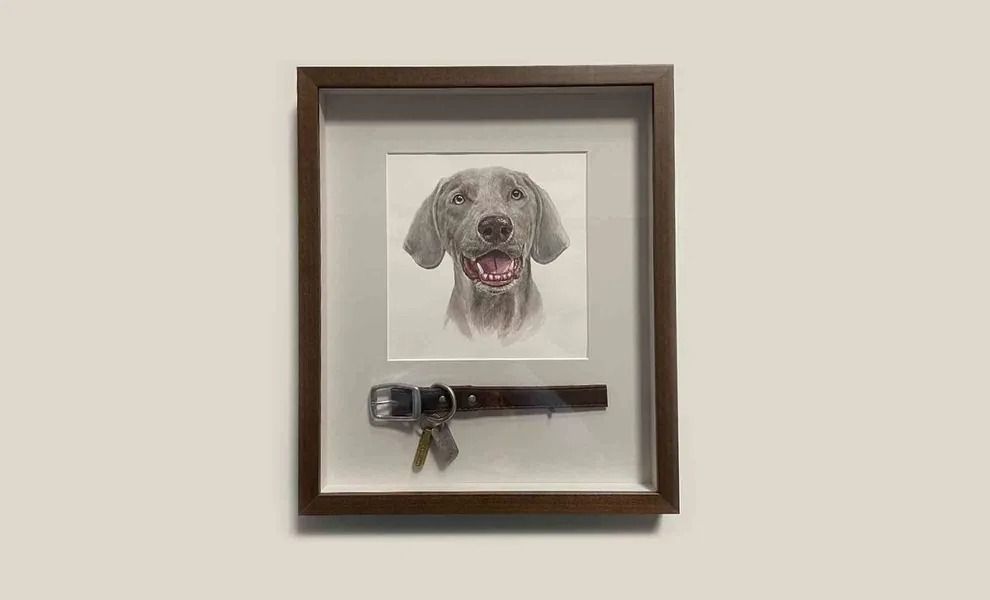 Framed portrait of a gray dog with a collar, mounted on a wall
