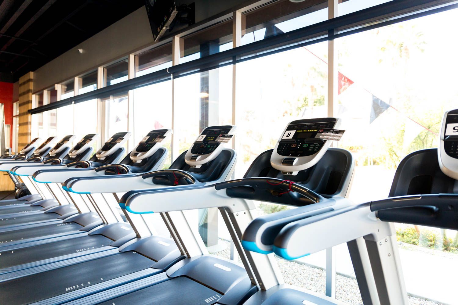Row of treadmills in a brightly lit gym, facing large windows.