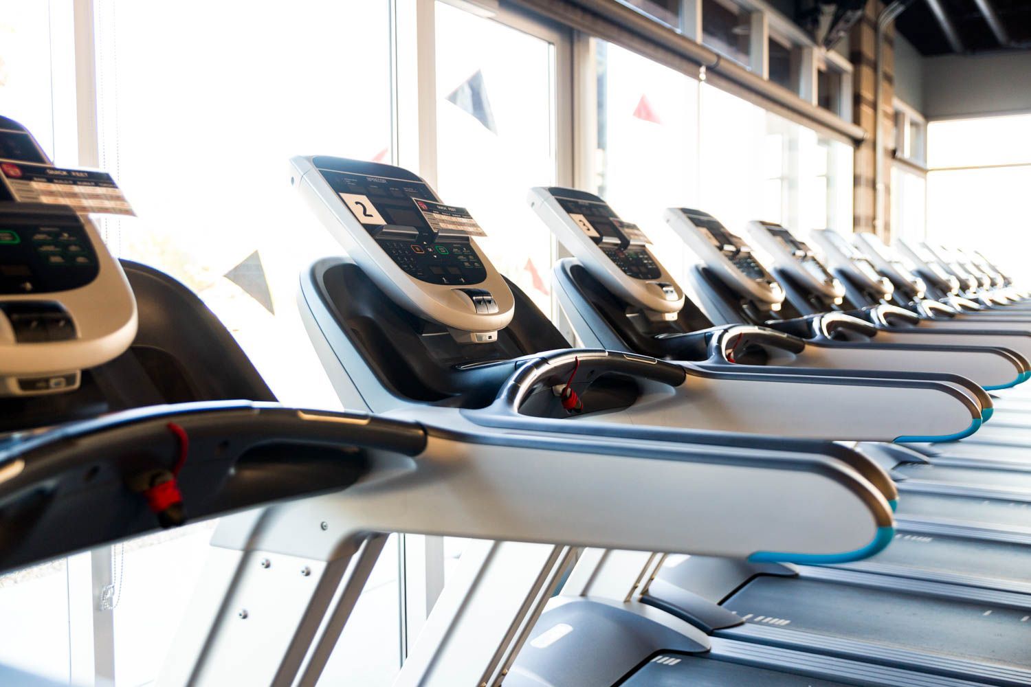 Row of treadmills in a bright gym, near large windows.