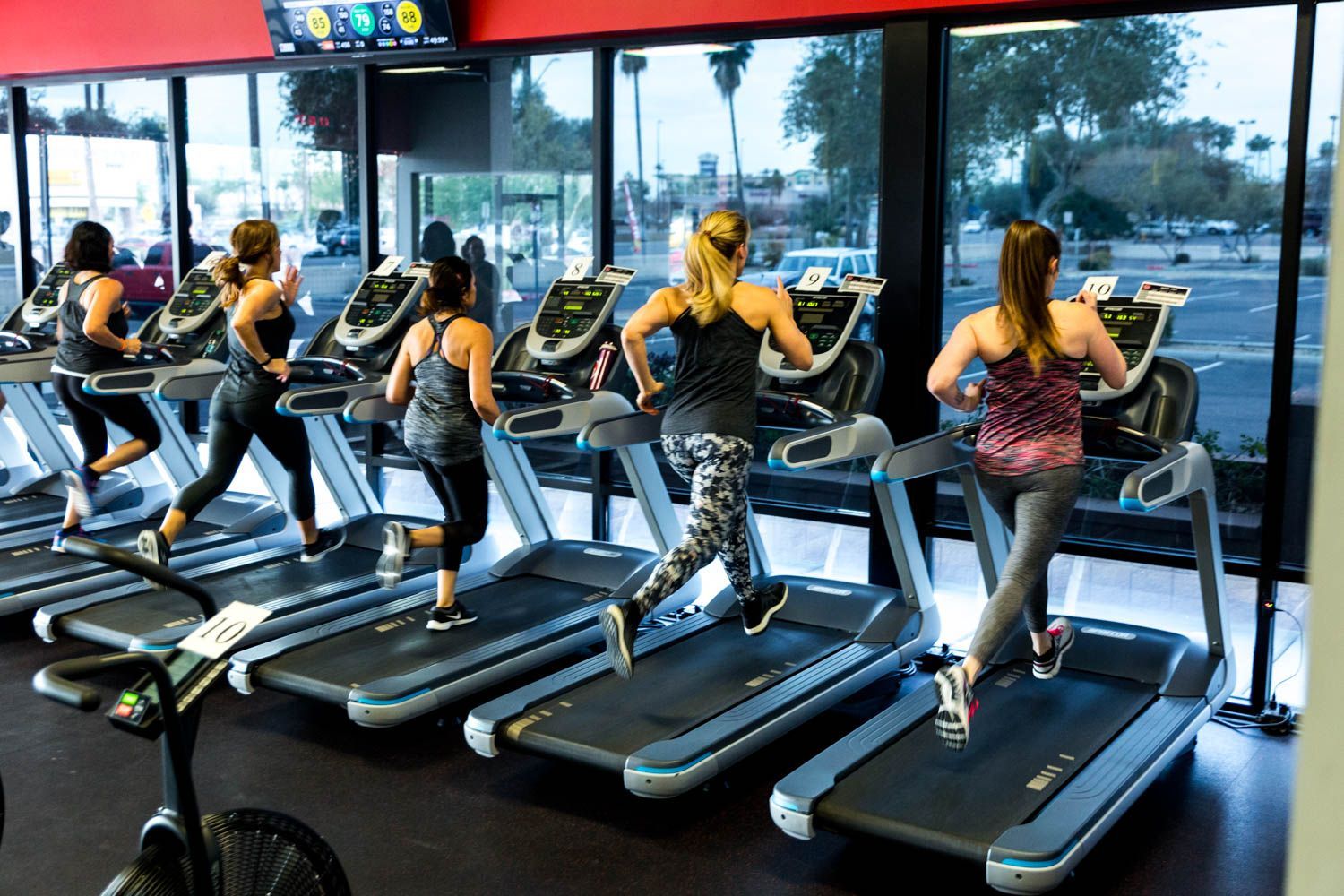 Five people running on treadmills in a gym with large windows.