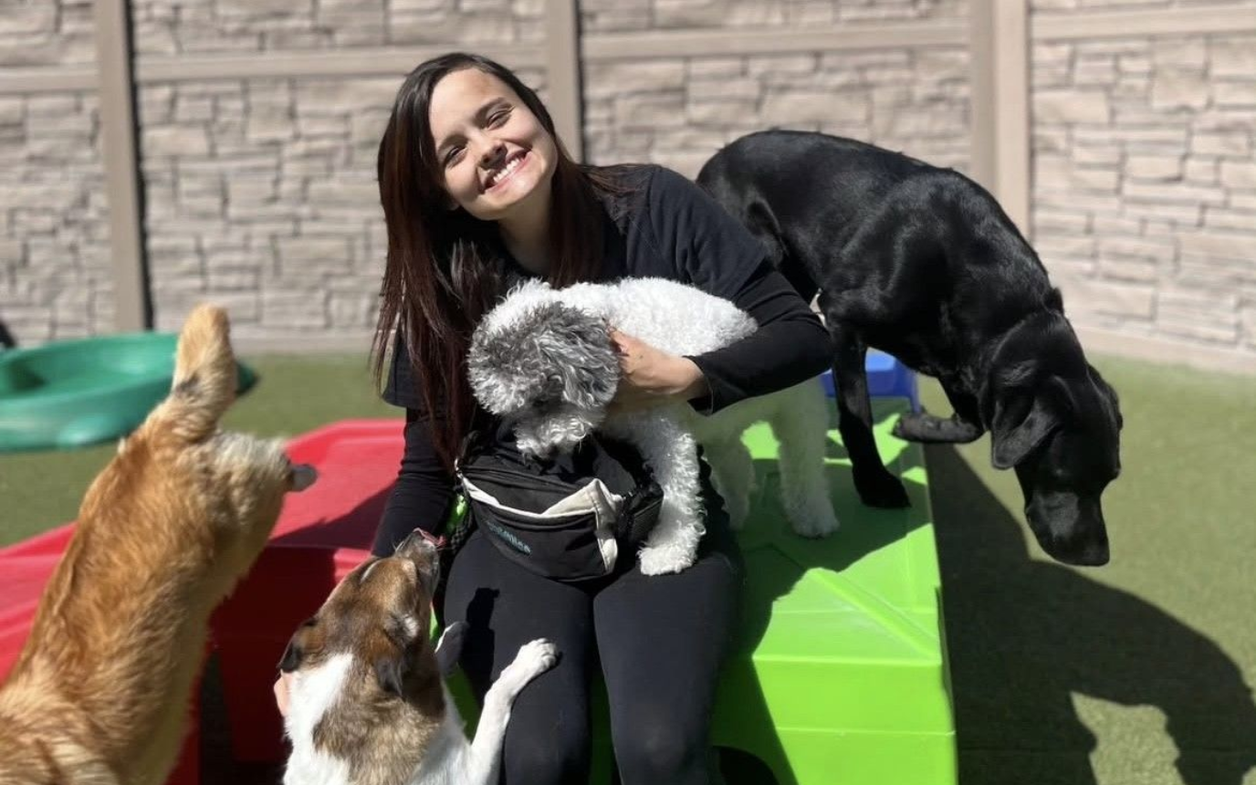 Woman smiling with four dogs on colorful outdoor mats near a wooden fence