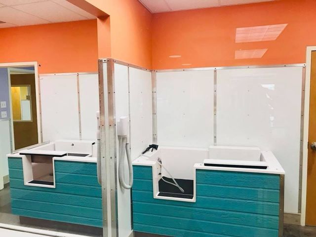 Empty reception desks in a bright orange room with teal counters and white partition walls