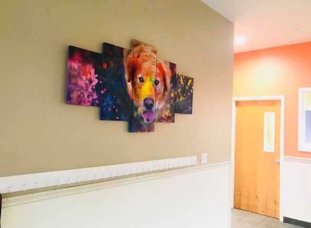 Hallway with a colorful dog painting above a white chair rail and a wood door to the right.