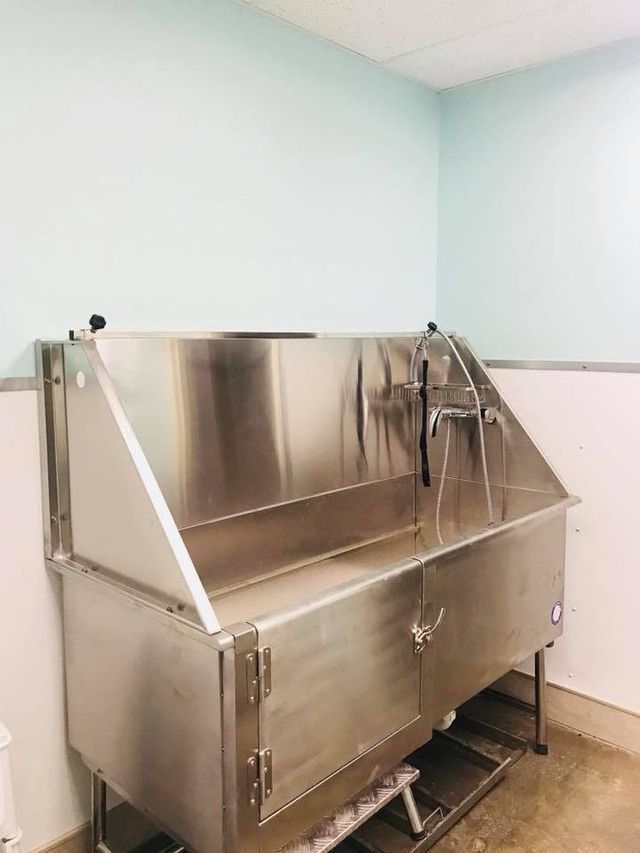 Stainless steel utility sink or trough in a pale green room, with a faucet and open front panel.