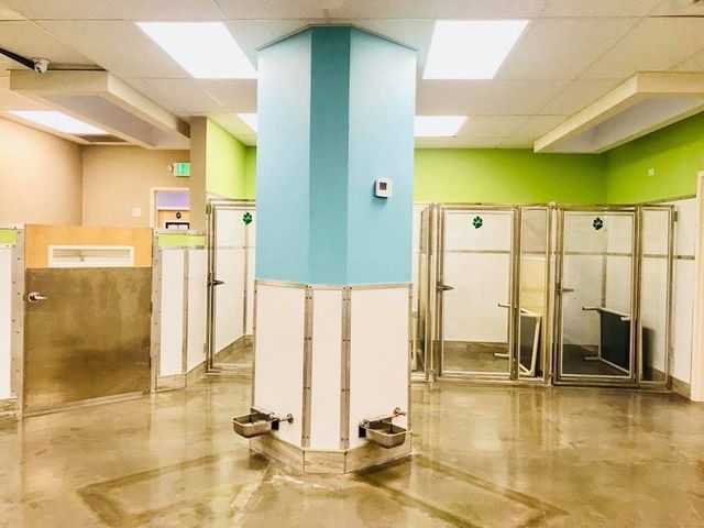 Empty restroom with stalls, light blue center column, green walls, and polished floor