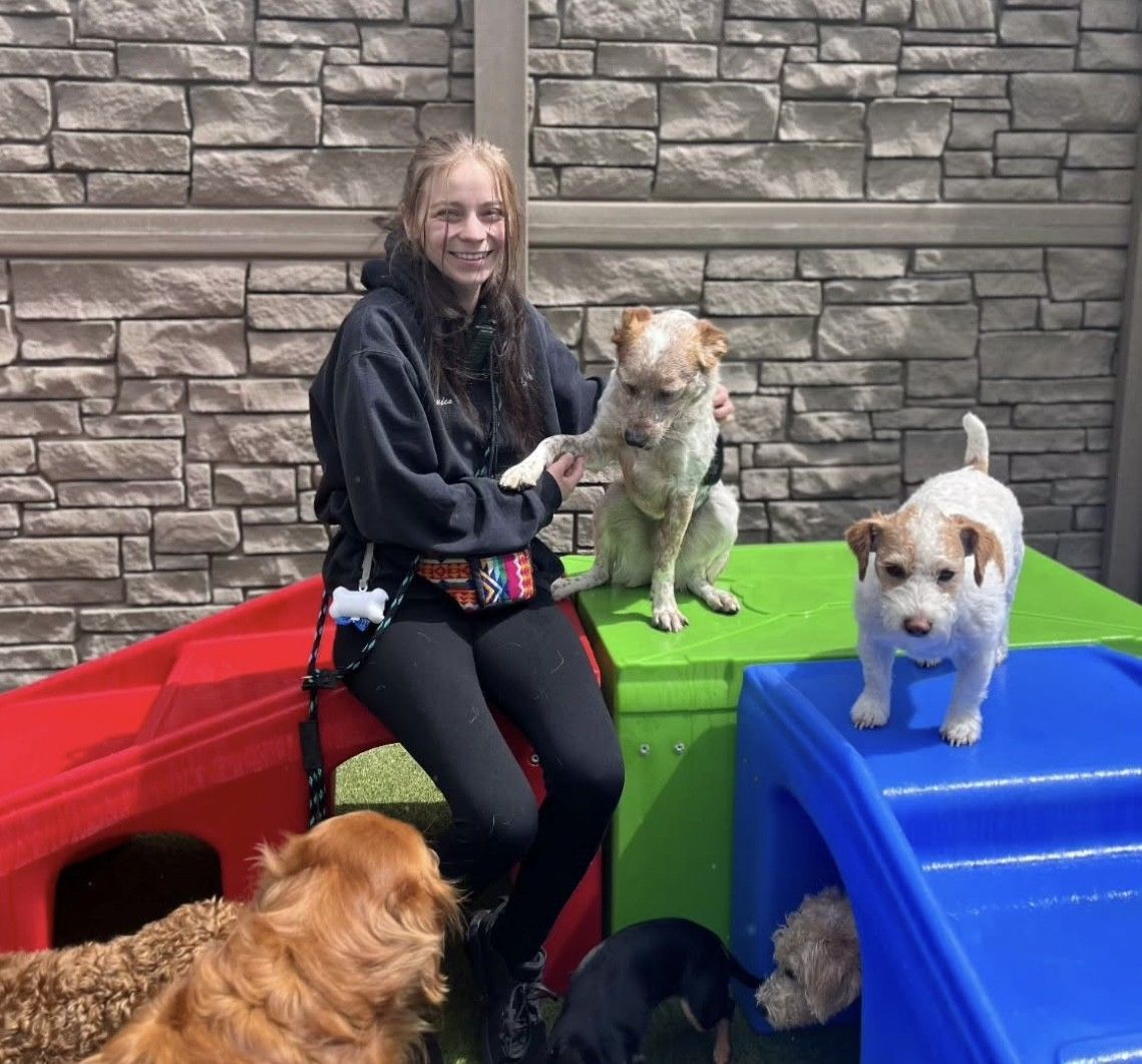 Woman with three dogs on colorful play structures against a stone wall